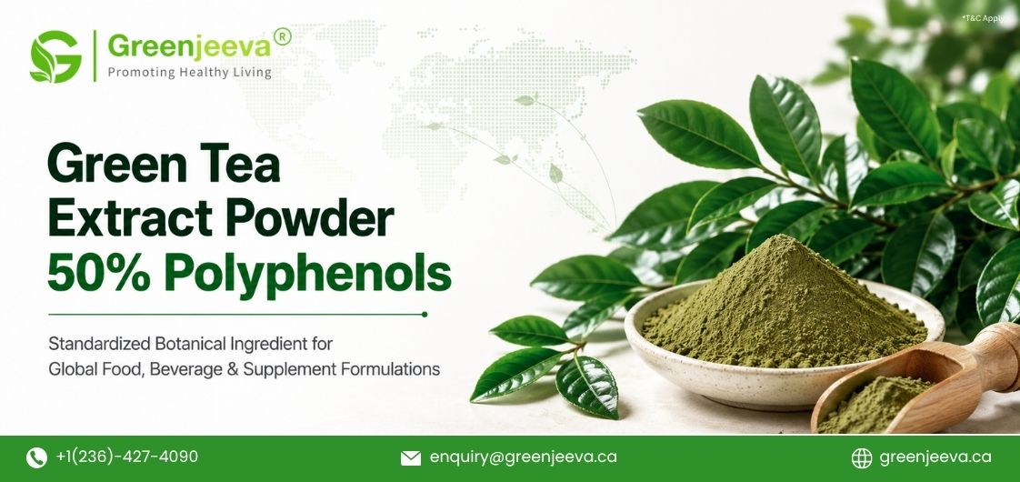 Sourcing Standardized Green Tea Extract Powder: A B2B Buyer's Guide for Canadian Manufacturers